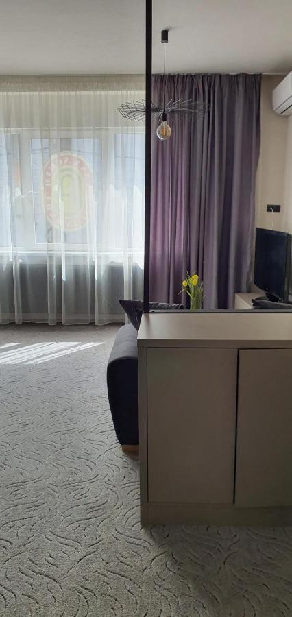 Casa Achim Hotel Baia Mare Buitenkant foto